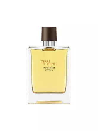 HERMÈS | Terre d’Hermès Eau Intense Vétiver Eau de Parfum 100ml | 